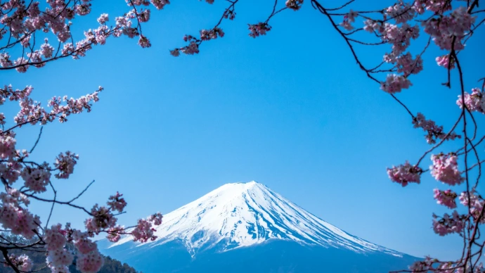 Japonés Nivel 5